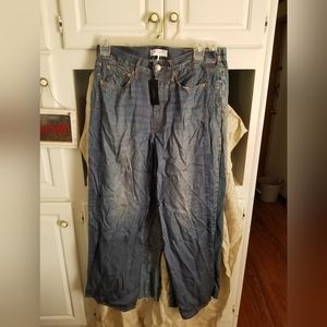 Rag and Bone Redwood Liquid Miramar Pants